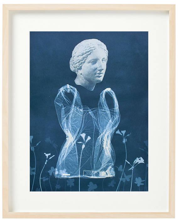 DIANA. Cyanotype print.