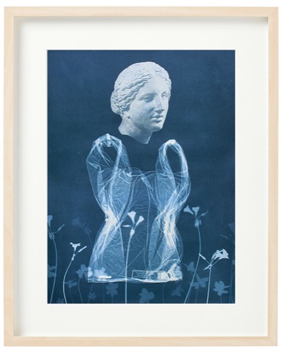 DIANA. Cyanotype.