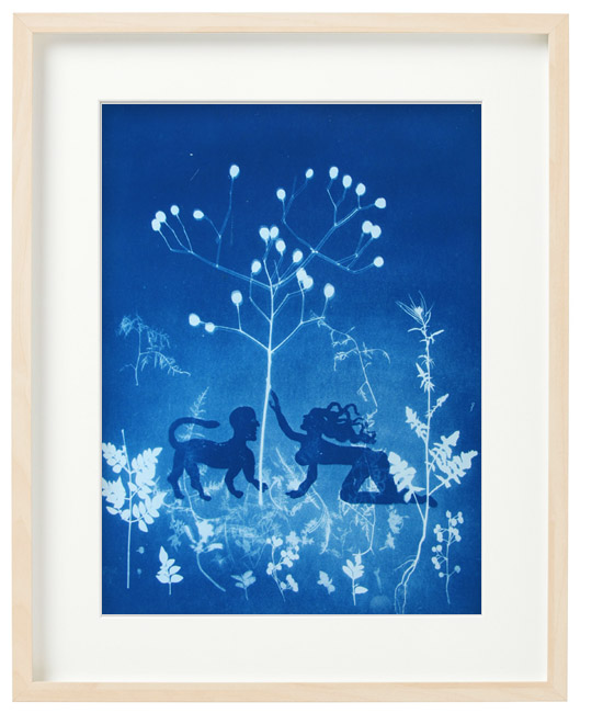 ADAN Y EVA. Cyanotype print.