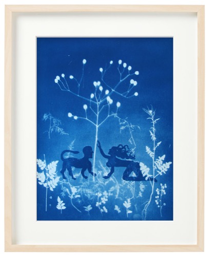 ADAN Y EVA. Cyanotype.
