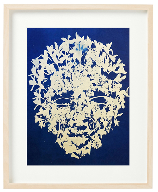 PRIMAVERA. Cyanotype print.