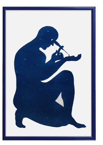 OBSERVER. Cyanotype.