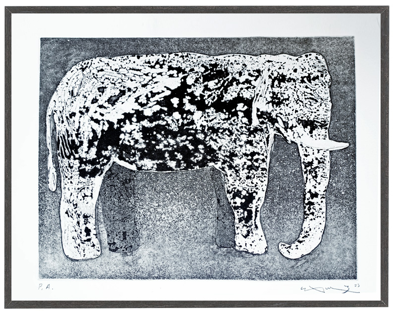 ELEPHANT. Aquatint sugar.