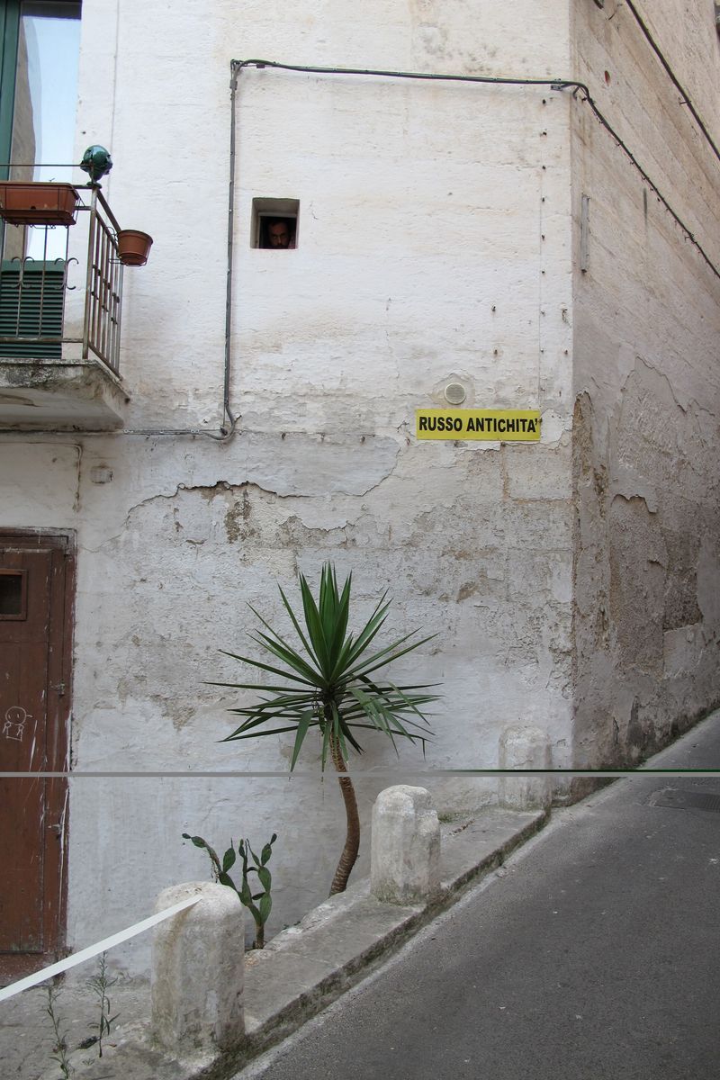 Man peering through a small square window in a whitewashed wall above a yellow antique shop sign, a yucca plant growing at the base of the wall.