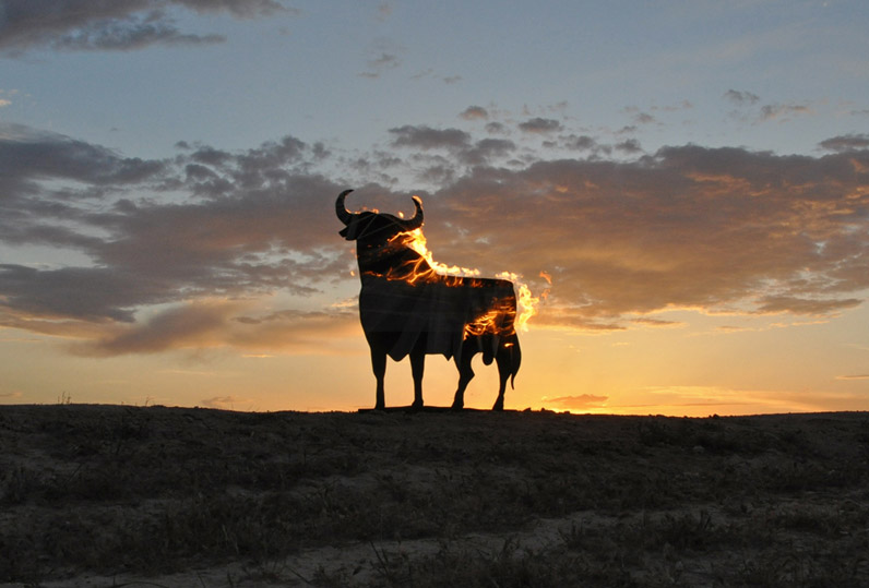 TORO ARDIENDO. Fortuna, Murcia, Spain.