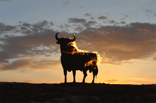TORO ARDIENDO. Animación: el fuego recorre la silueta del toro al atardecer.