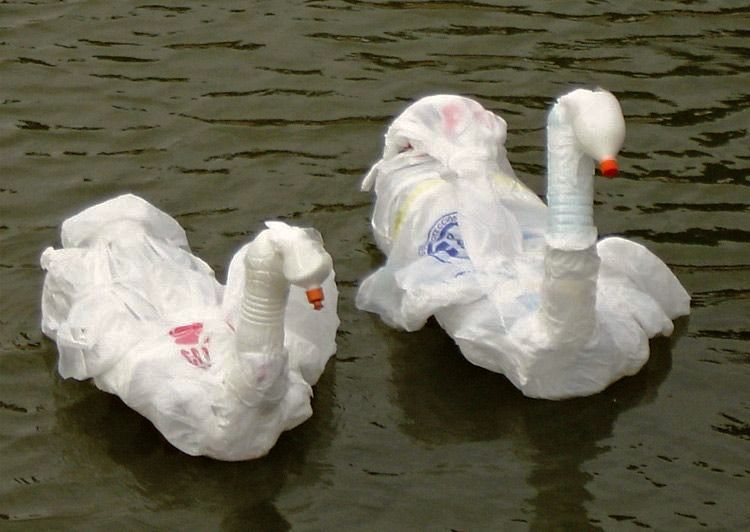 Two swan decoys made from wrapped white plastic bags with bottle-cap beaks floating on murky green river water.
