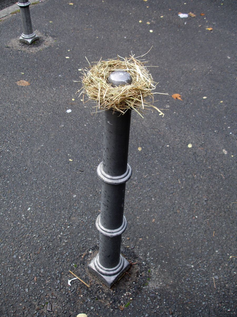 Straw nest wrapped around the top of a black bollard on a street, a smooth grey egg-shaped object nestled in the center.