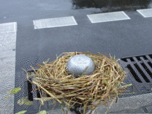 Bird nest of dry straw built around a street curb drain, a smooth grey metallic egg-shaped object resting in the center, crosswalk stripes behind.
