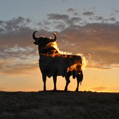 TORO ARDIENDO.