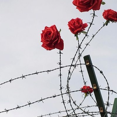 ROSAS A LA LLEGADA.