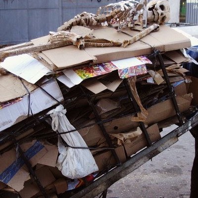 ESQUELETO DE CARTON.