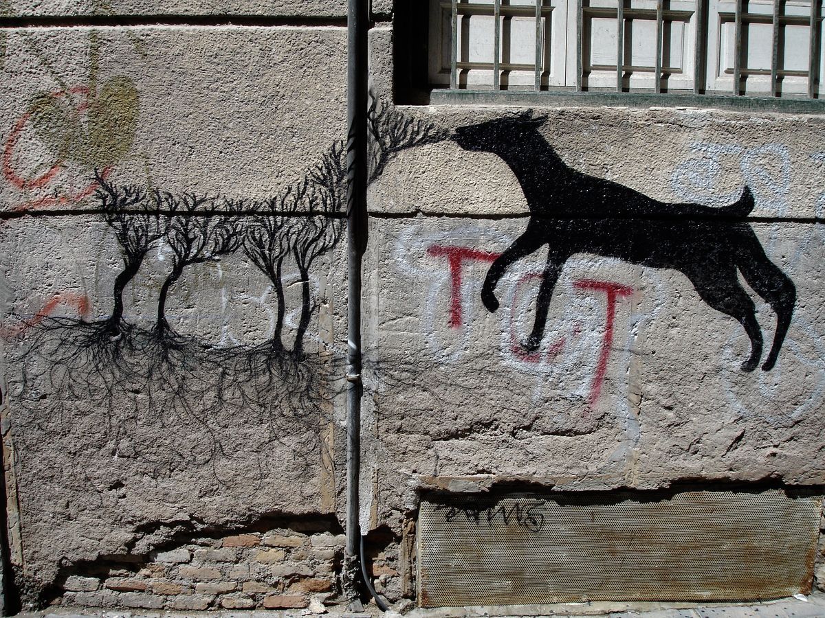 Black silhouette of a leaping dog on a plastered wall, its tail extending into a row of tree-like branching root shapes below a barred window, red graffiti letters beside it.