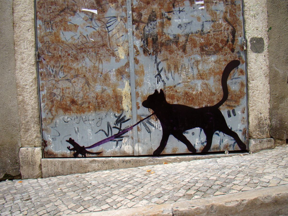 Black silhouette of a cat walking with a small alligator toy on a leash, painted on a rusted metal door covered in graffiti tags, a cobblestone street in front.