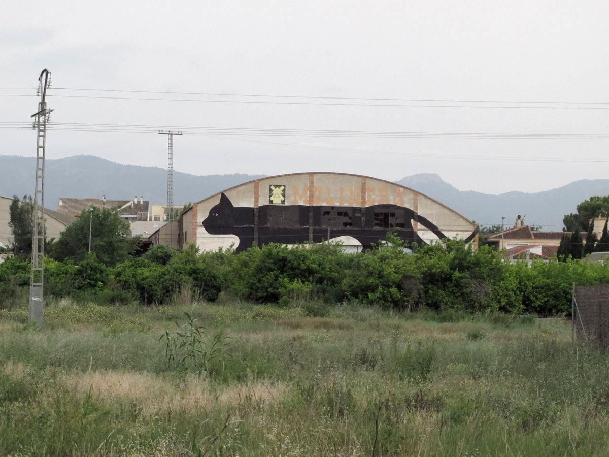 Distant view of the same warehouse building with the giant black cat mural stretched across its curved roofline, surrounded by green fields and power lines, hills in the background.