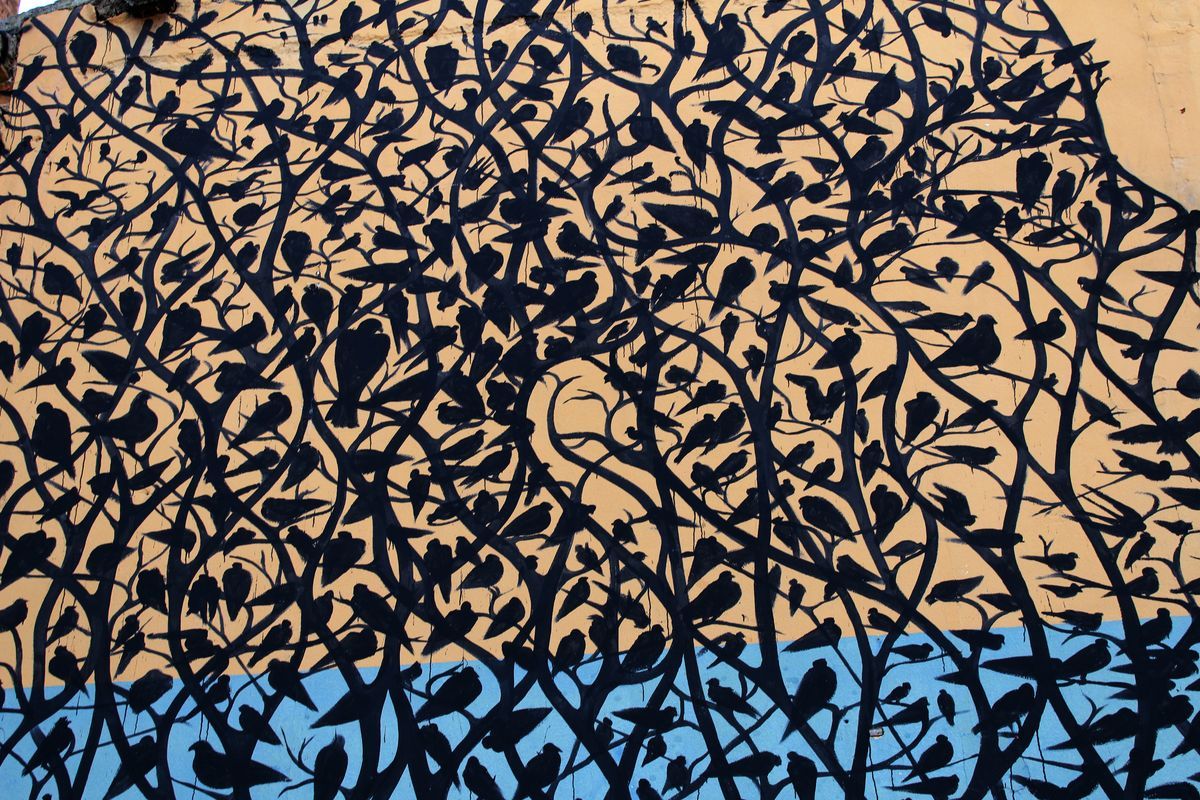 Close-up detail of a mural showing dozens of small black silhouette birds perched on a tangled web of branch-like lines against a tan and blue background.