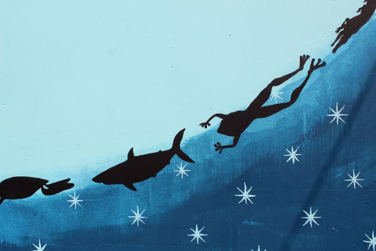 Close detail of the circle mural showing a diving human silhouette with outstretched arms swimming among a shark and other animals against a starry blue background.