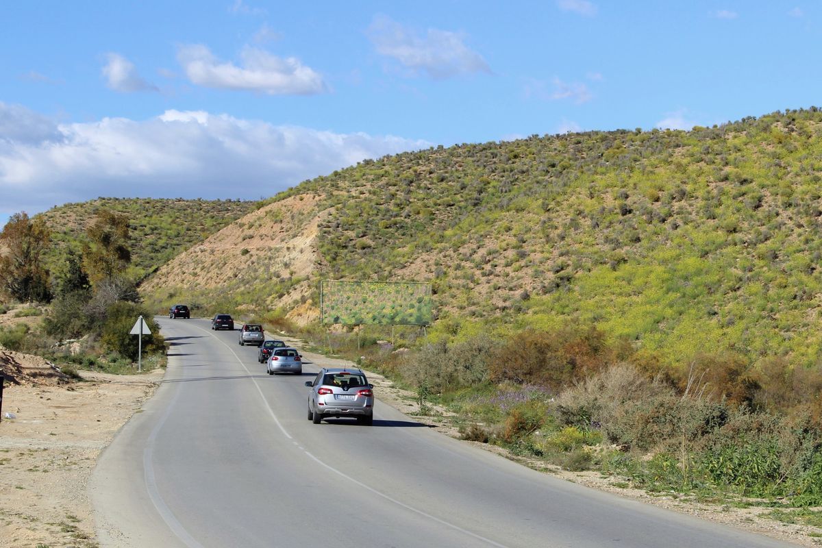 Country road lined with cars, a billboard beside it painted in dense green-and-yellow camouflage that blends into the scrub-covered hillside behind it.