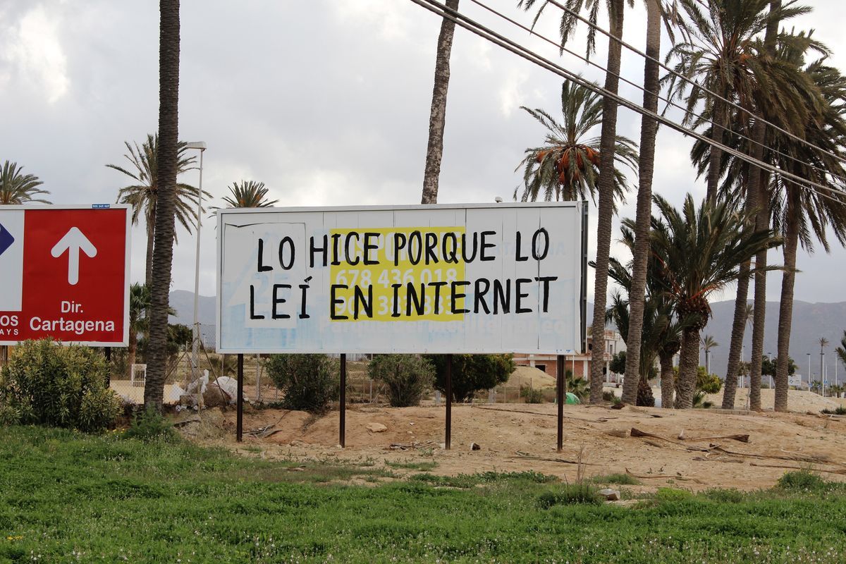 Roadside billboard with a black hand-painted message reading 'LO HICE PORQUE LO LEÍ EN INTERNET' over a partly obscured original ad, palm trees and a coastal mountain visible behind.