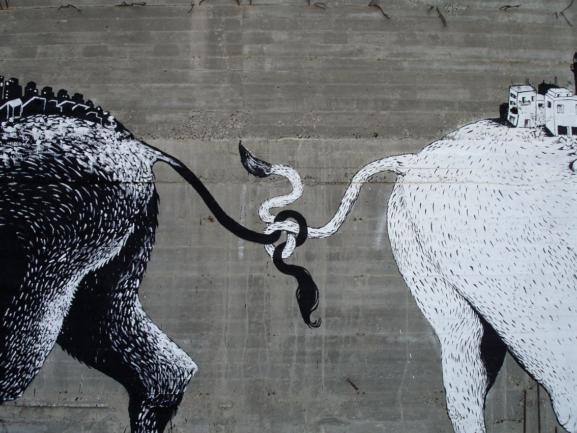 Close-up of the two donkeys' tails knotted together with a small snake between them, one donkey black with a dark hilltop town on its back, the other white with a white town, painted on a concrete wall.