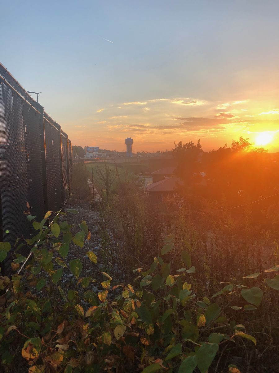 Distant silhouette of the water tower at sunset, seen past a dark metal fence and overgrown roadside brush, the sky glowing orange near the horizon.