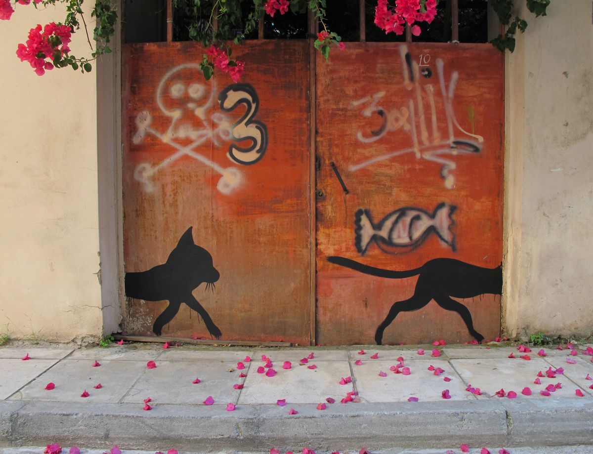 Black silhouette mural of two cats facing opposite directions, painted on a pair of rusted orange metal doors decorated with a skull-and-crossbones and a wrapped candy graffiti, framed by hanging bougainvillea flowers.