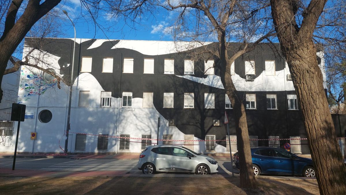 Street view of a large building facade painted with an abstract black and white shape resembling shifting cloud or animal forms, trees and parked cars in front.
