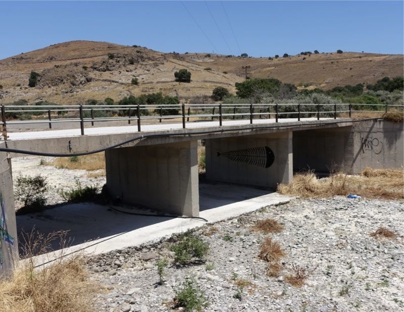 Wide view of the fish skeleton mural painted inside a concrete underpass beneath a road bridge, dry hillside landscape visible outside.
