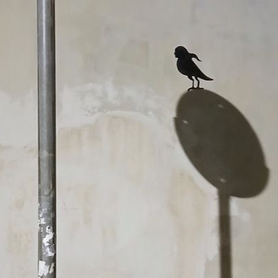 Pajaro nocturno.
